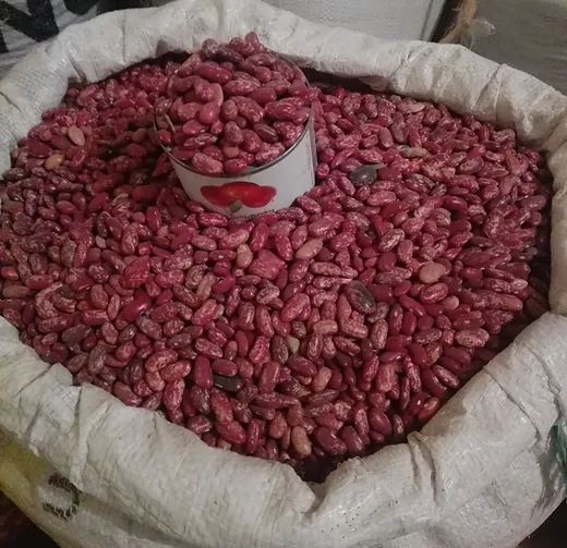 Nyayo Beans
