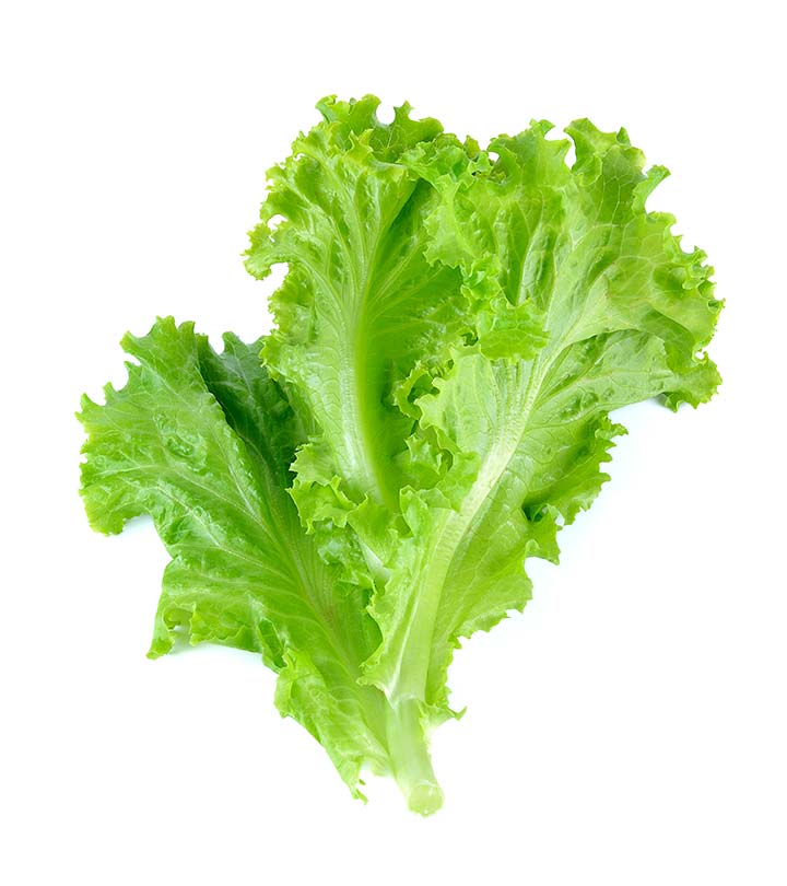 Soft Lettuce - per bunch