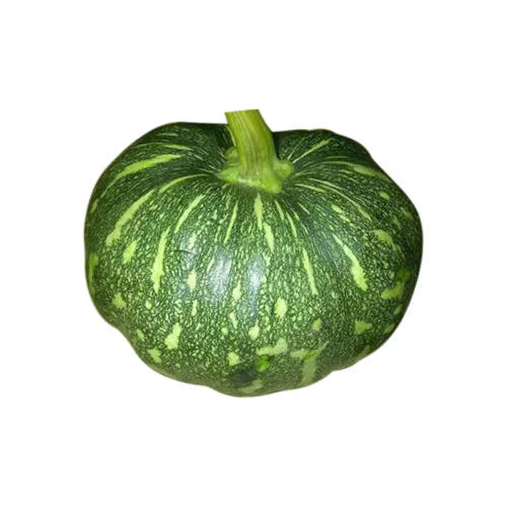 Pumpkin - Small