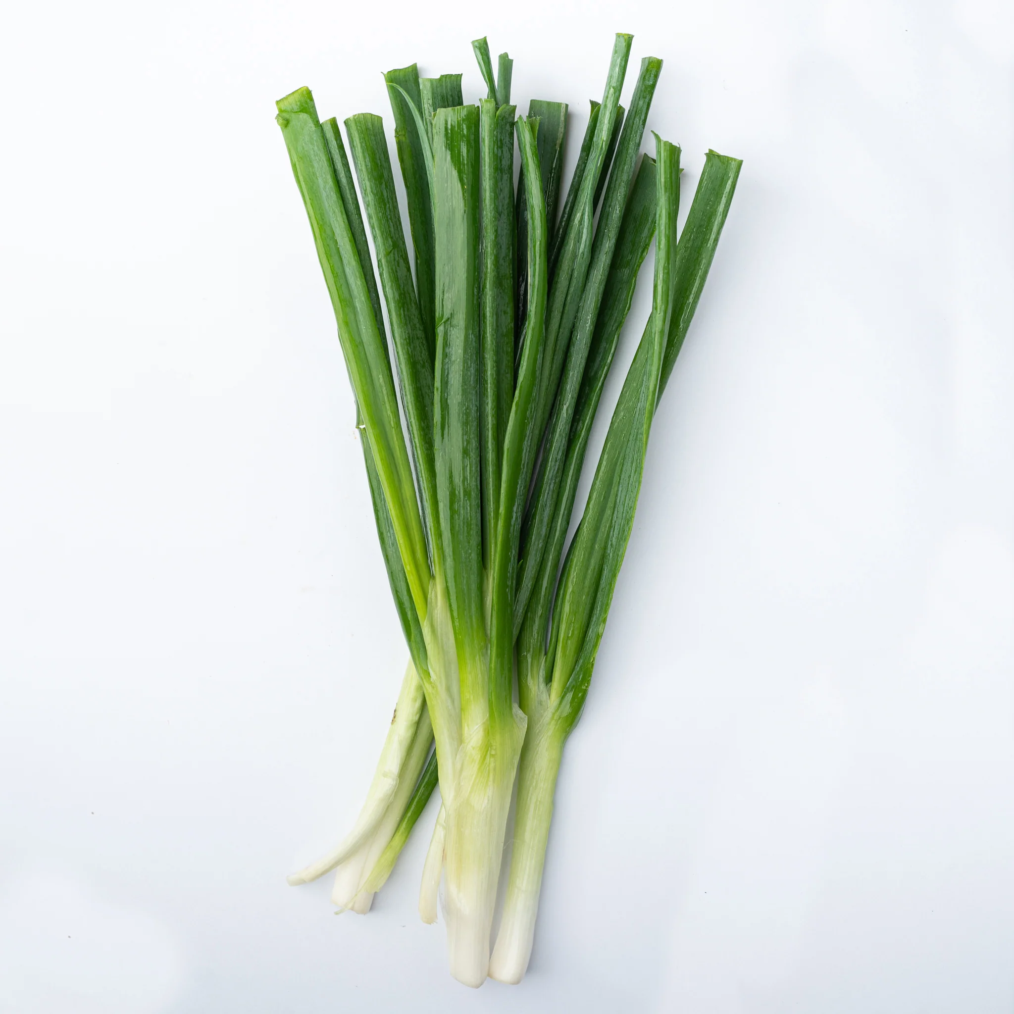 Spring Onions - Per Bunch