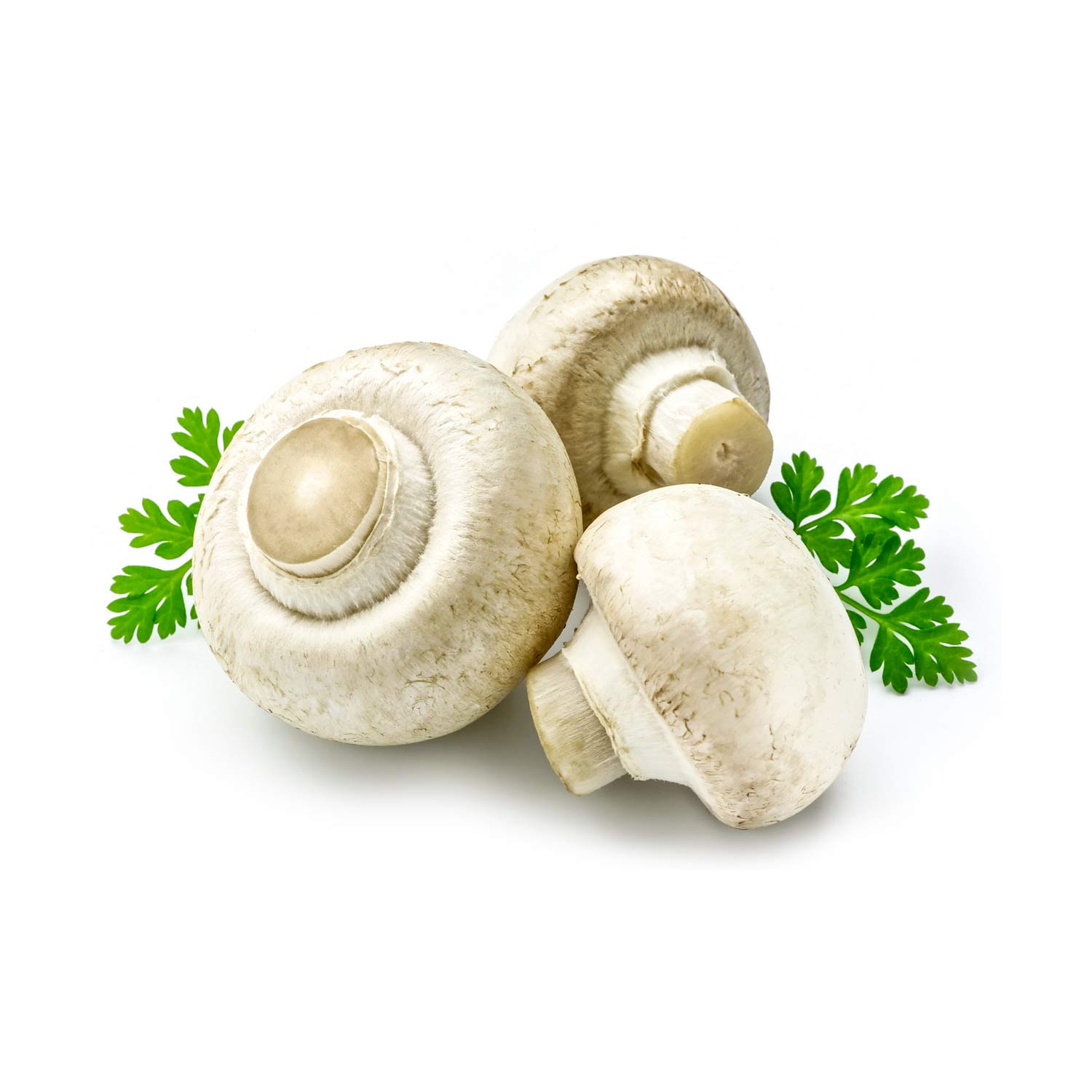 Mushroom - per kg