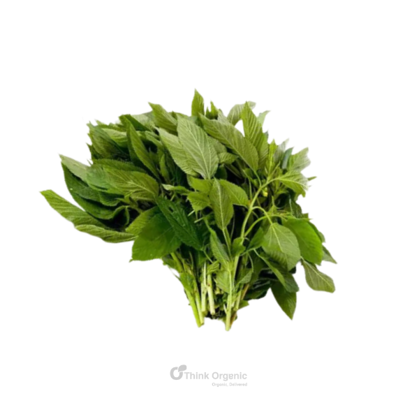 Mrenda - Fresh and Organic - Per Bunch