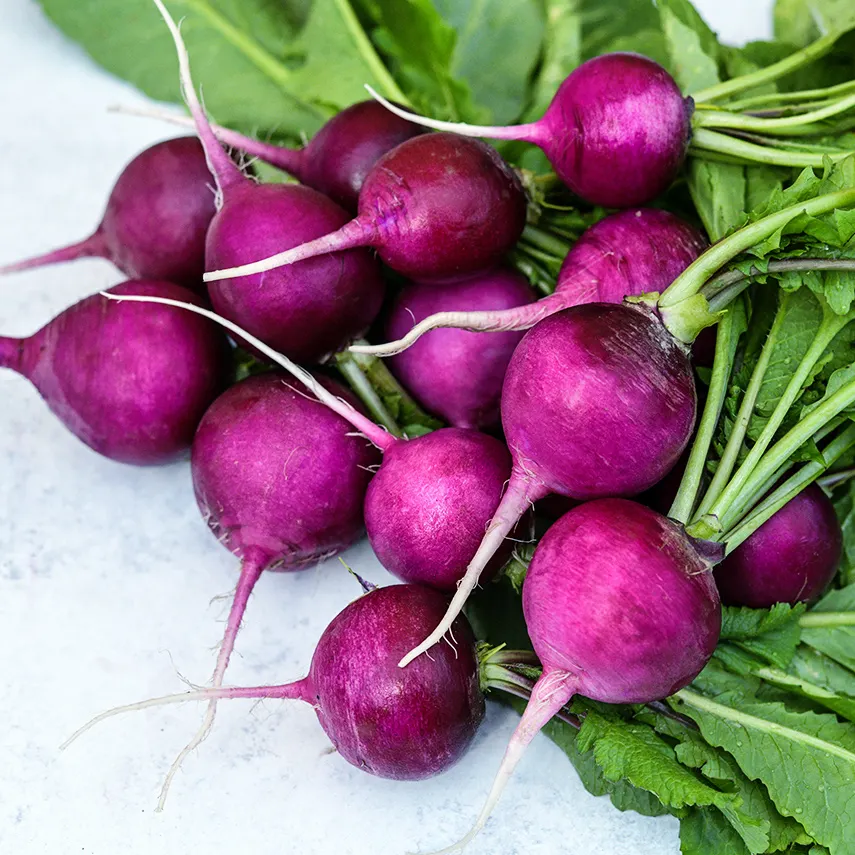 Radish - per bunch