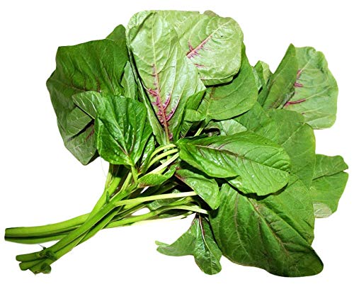 Managu - African nightshades - Per Bunch