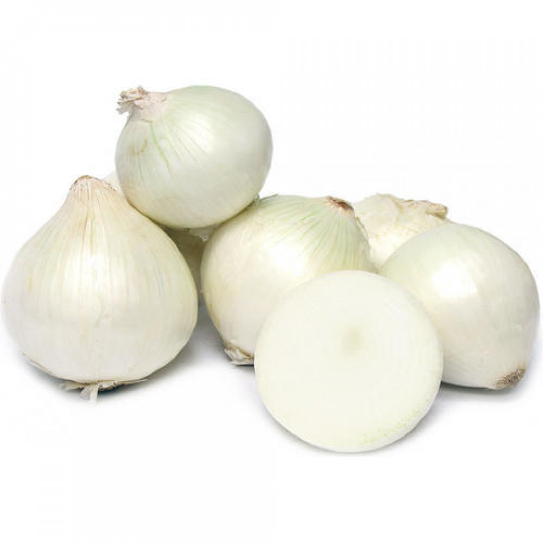 White Onions - price per KG